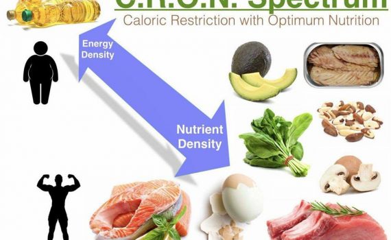 Caloric Restriction with Optimum Nutrition - Image courtesy of Ted Naiman